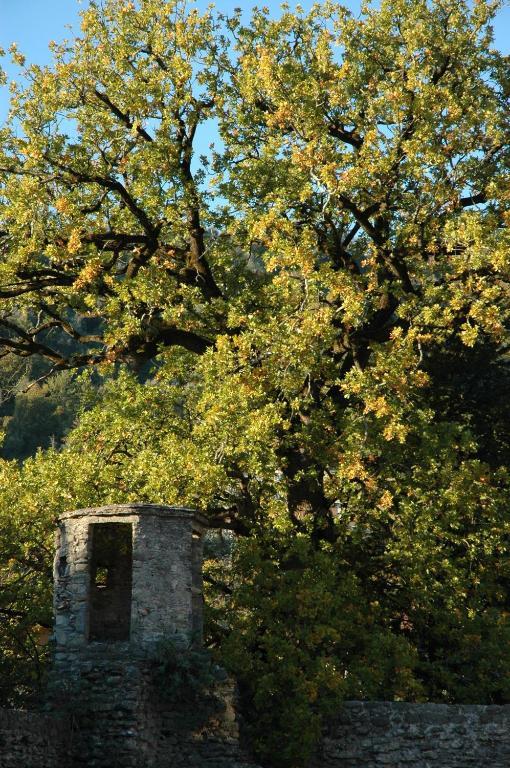 Agriturismo Casteldelpiano Licciana Nardi Eksteriør bilde