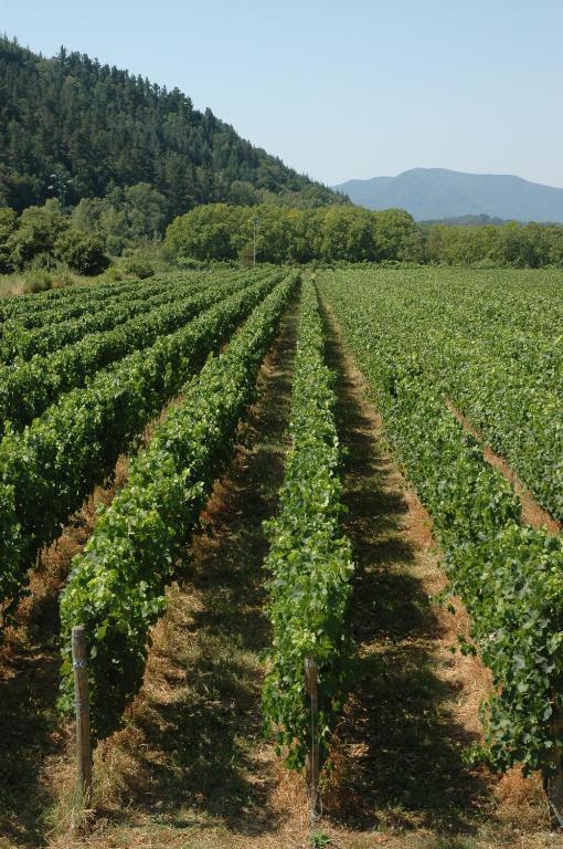 Agriturismo Casteldelpiano Licciana Nardi Eksteriør bilde